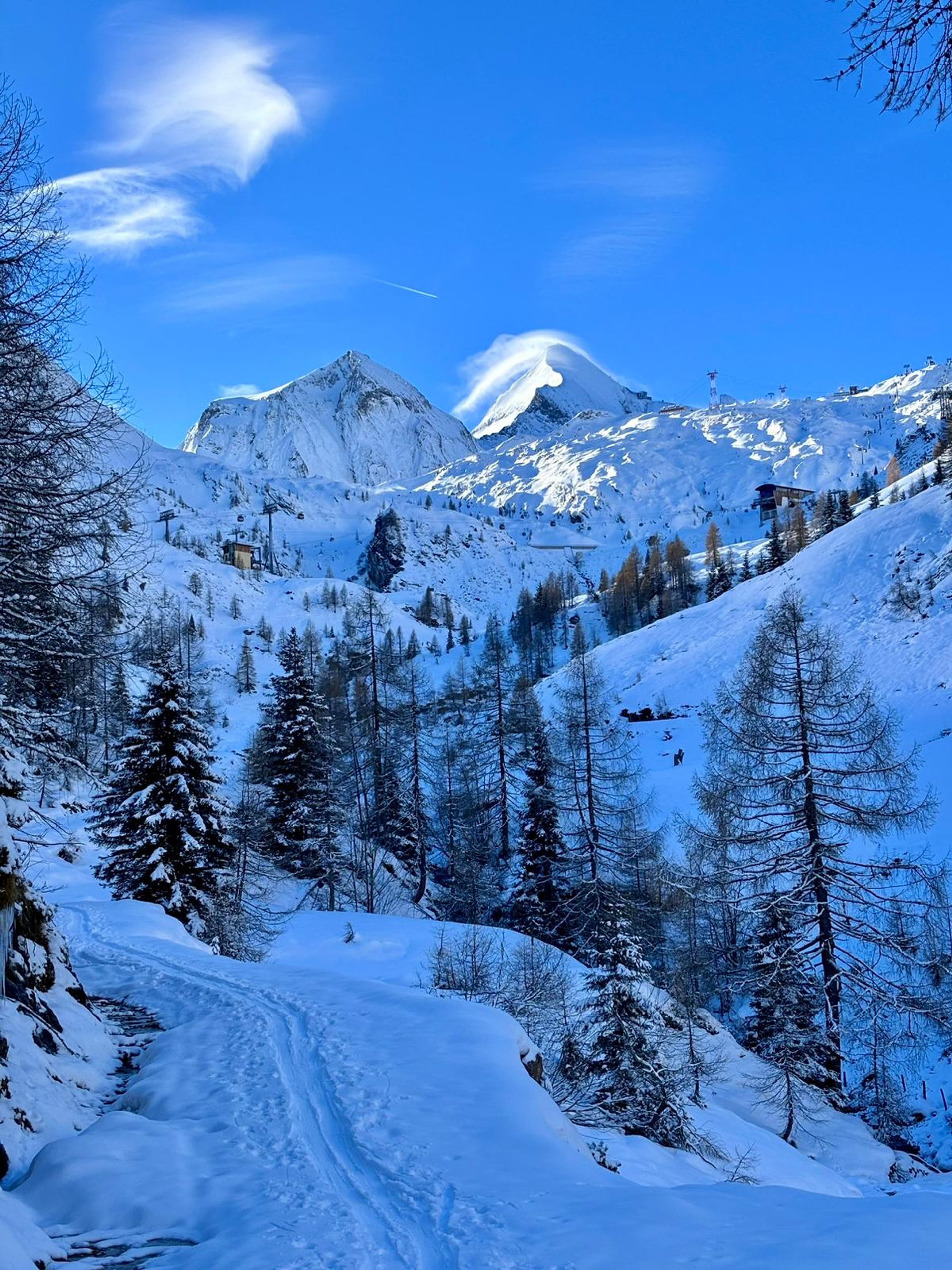 BERGLIEBE - Ferienwohnung Top 2 - Image 4